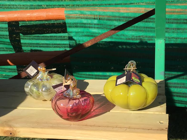 Glass pumpkin patch at Morton Arboretum