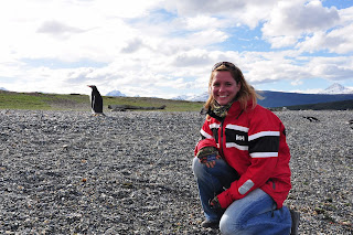 Magellanic penguin