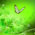 Green Flower HD Wallpaper - HD Latest Wallpapers