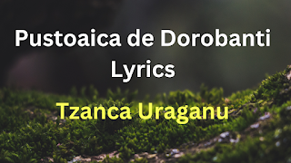 Pustoaica de Dorobanti Lyrics - Tzanca Uraganu