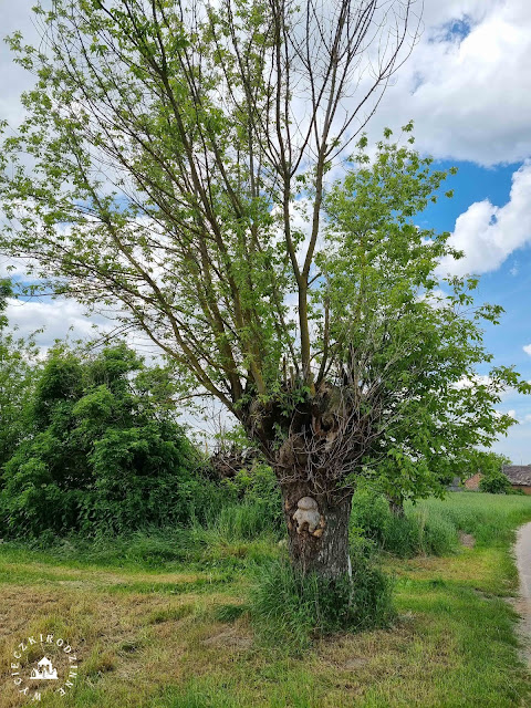 Szlaki piesze na Mazowszu