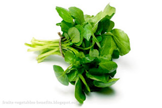 benefits_of_eating_watercress_fruits-vegetables-benefits.blogspot.com(8)