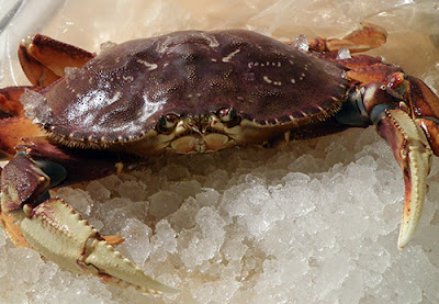 Live Crab on ice