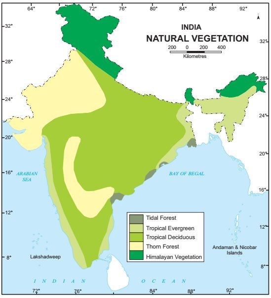 natural-vegetation-of-india