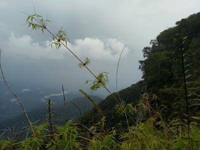 Gunung Chabang