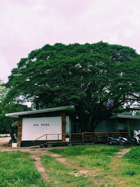 Panglao, Filippinnene. Foto: Eidbjørg Søreide