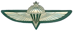 IDF Paratrooper Wings-Sheva Apelbaum