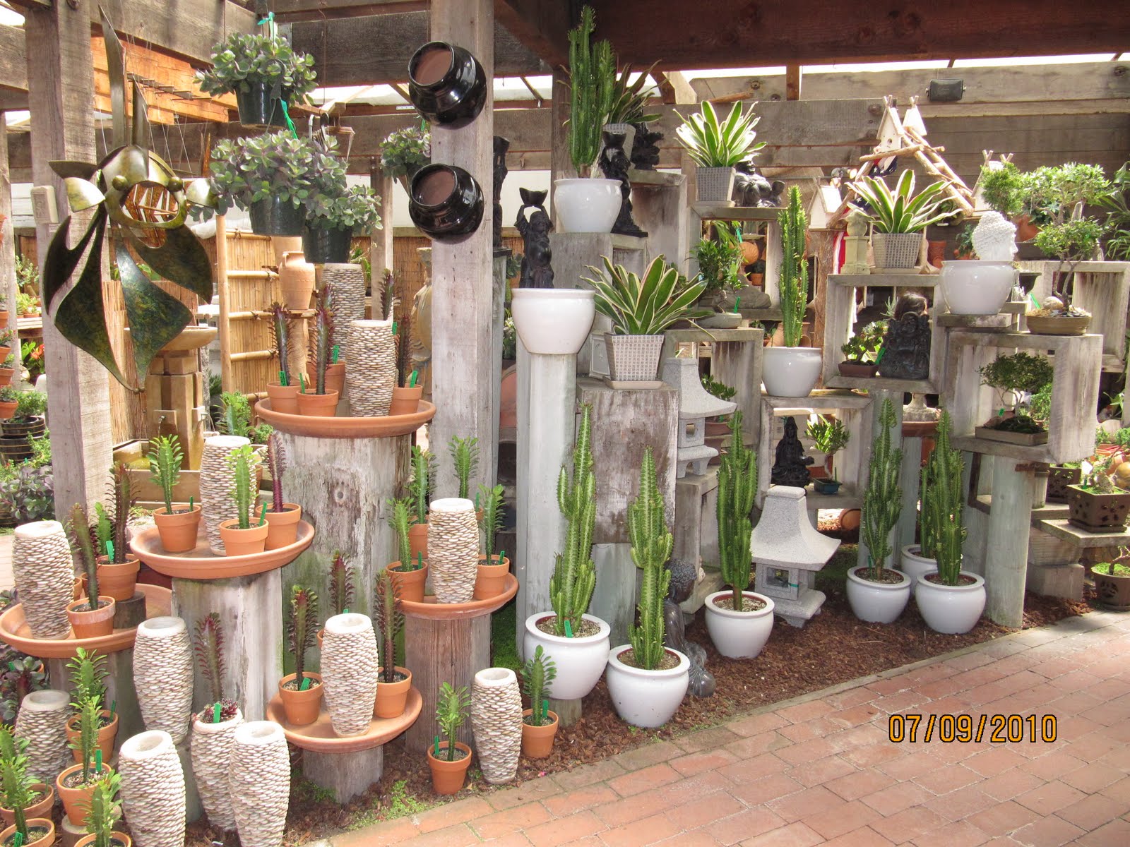 Cactus Garden Designs Planter Boxes Namib Garden Cactus Nursery