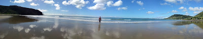 Panorama of Shipwreck Bay NZ