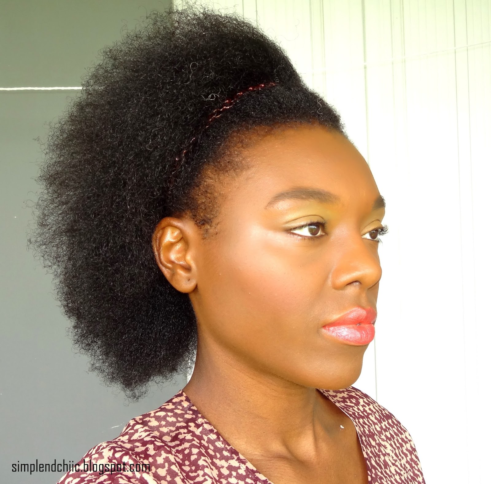 How I Blow Dry My Kinky Dry Natural Hair Chiicpik