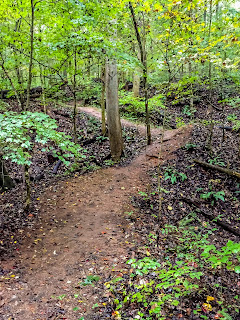 Tennessee State Parks, Hiking