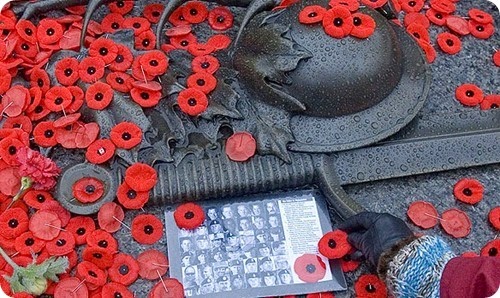 poppies6
