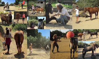 Ost Κreta , Horsemanship für Frauen