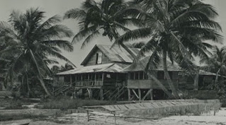 screengrab from video showing 1800s building and palm trees