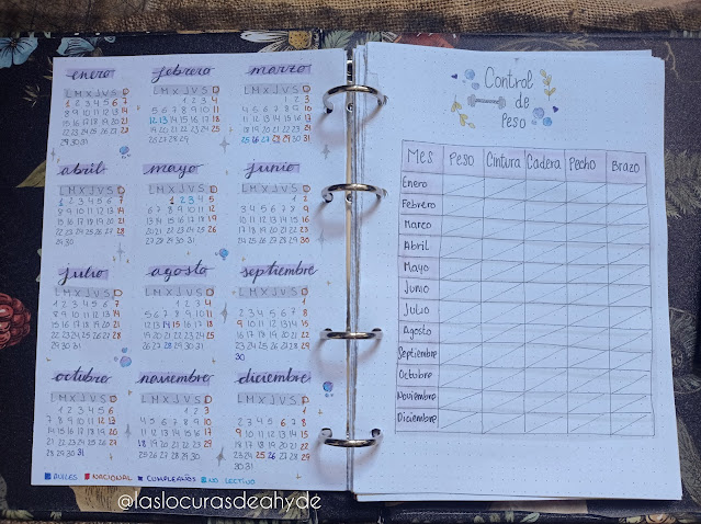 https://www.laslocurasdeahyde.com/2024/01/mi-bullet-journal-2024.html