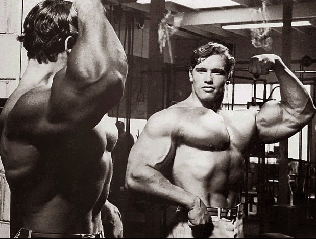 Arnold Schwarzenegger High Volume Workout