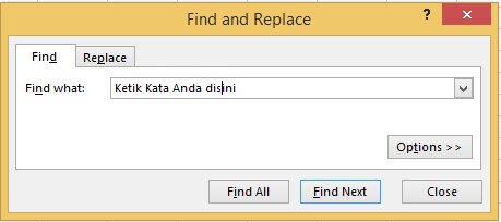 Mencari Kata di Excel Menggunakan Fitur Find and Replace