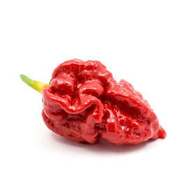 Trinidad Moruga Scorpion chili od strani