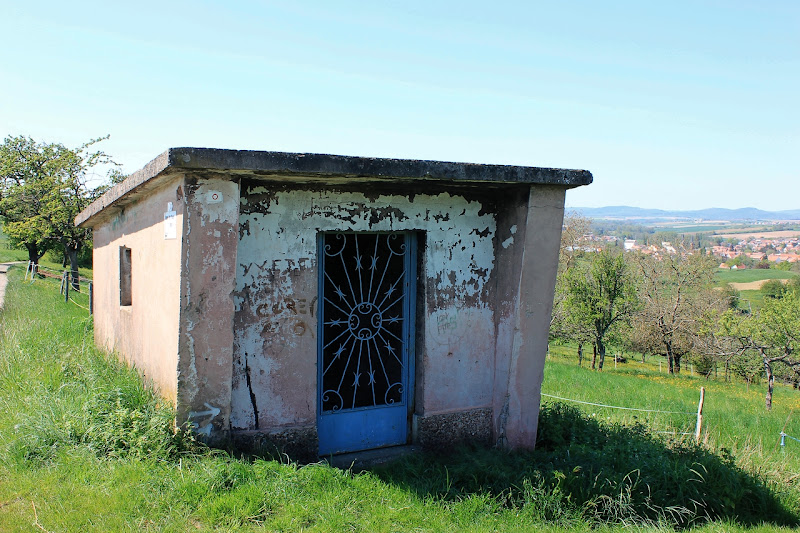 abri de vignes