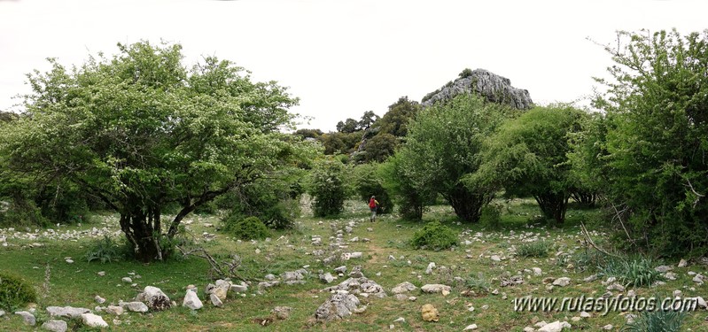 Nueve picos de la Sierra del Endrinal