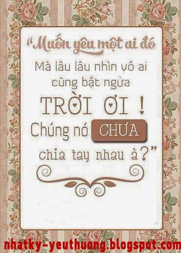 Giay dan tuong 