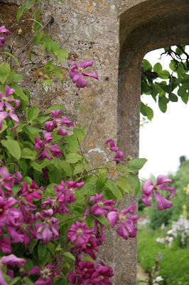 Rousham Gardens Lower Heyford Climbing Viticella Clematis