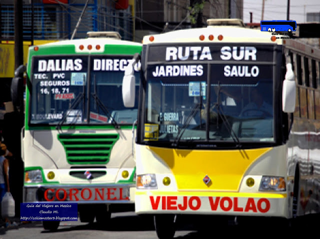 Autobus urbano de Torreón