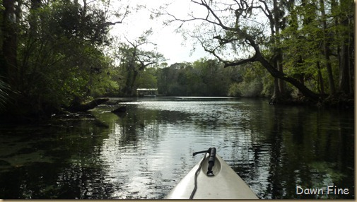 Chassahowitza River canoeing_240