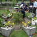 View album