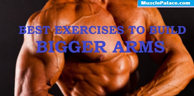 workout for bigger arms
