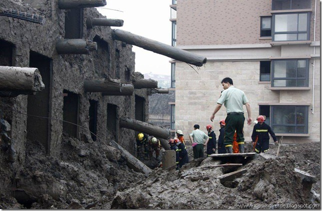 madeinchina (11)