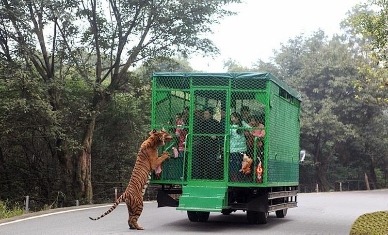 lehe-ledu-wildlife-zoo-4 lehe-ledu-wildlife-zoo-4