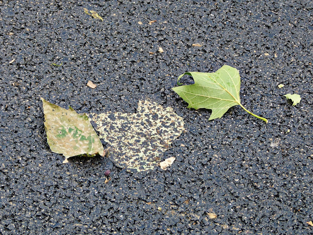 Asfalteerwerkzaamheden, Zonnemaat, Zevenaar, juni 2018, foto Robert van der Kroft