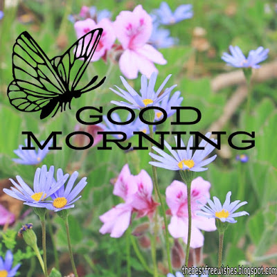 Good-Morning-Images-With-Flowers