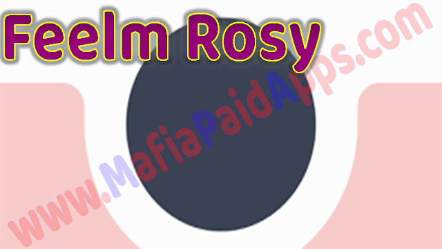 Feelm Rosy - Analog Filters v1.0.19 Apk for Android