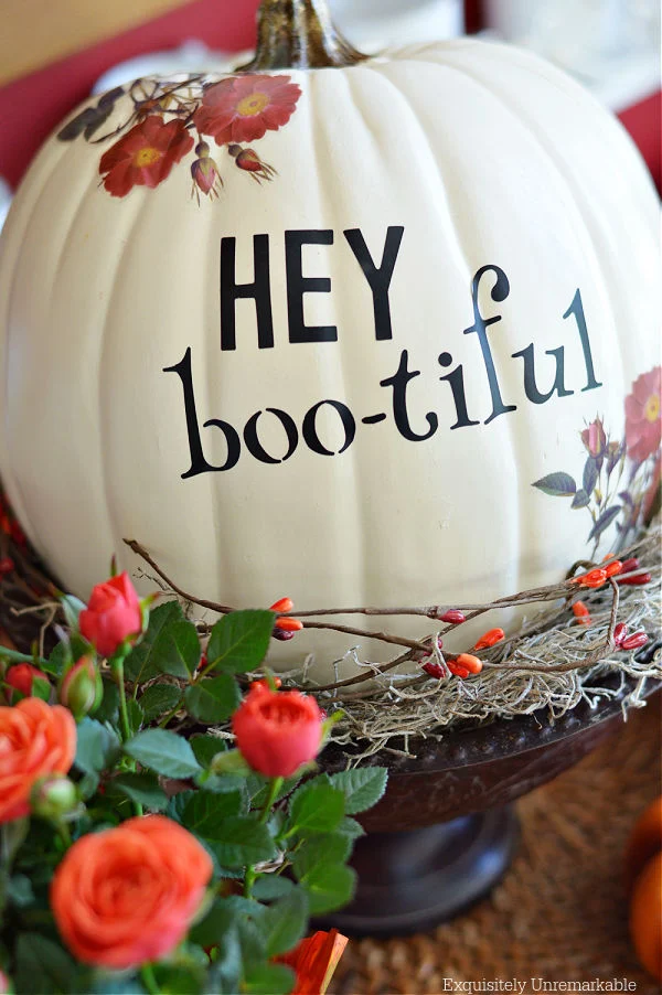 Hey Bootiful Pumpkin