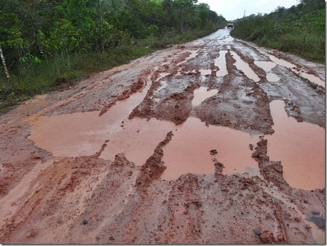 BR-319_Humaita_Manaus_Day_2_DSC05474
