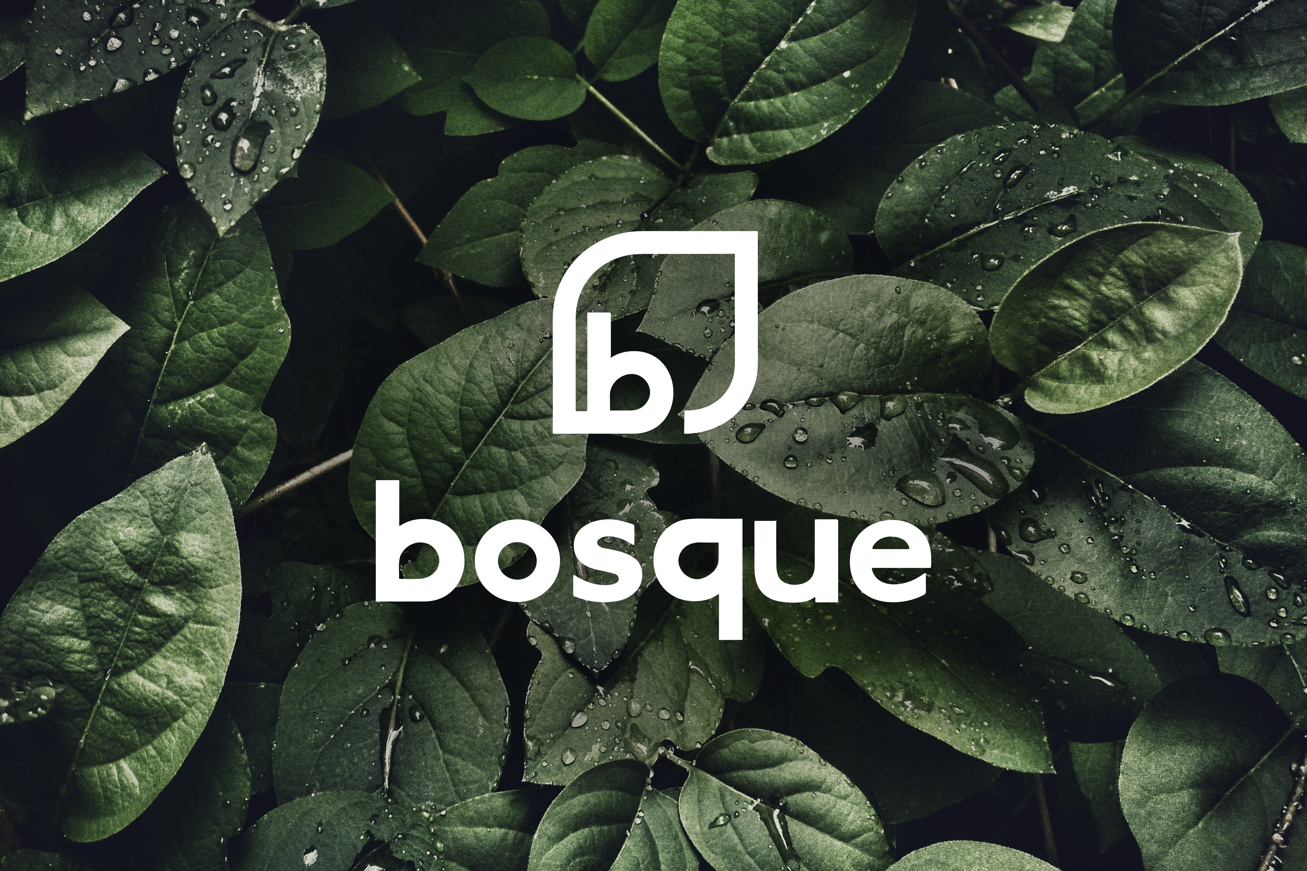 Logo - Bosque 1484