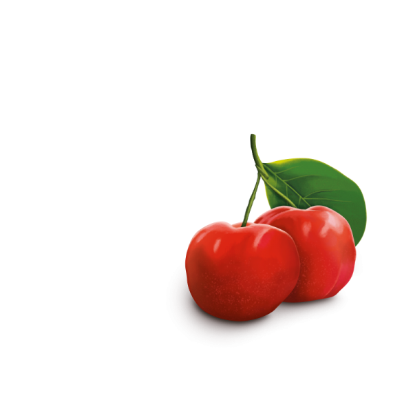 Os Maiores Produtores de Acerola do Brasil