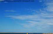 The beach on a clear day with gulls reeling overhead. (inverloch foreshore near town cropped)