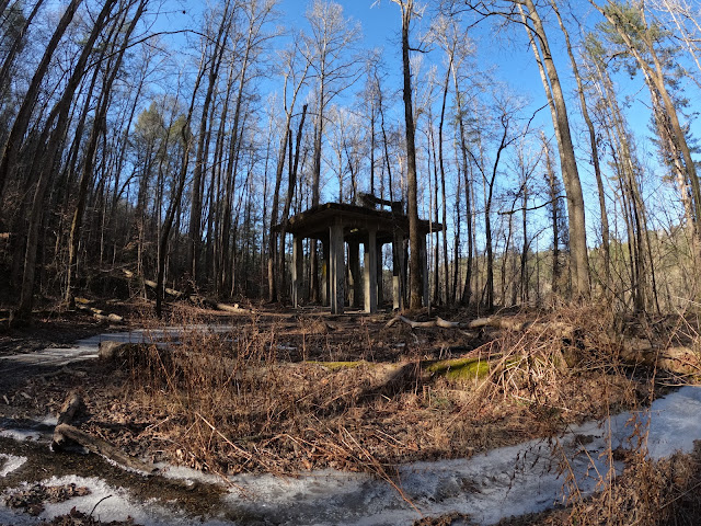 Ruins of old structure in forest