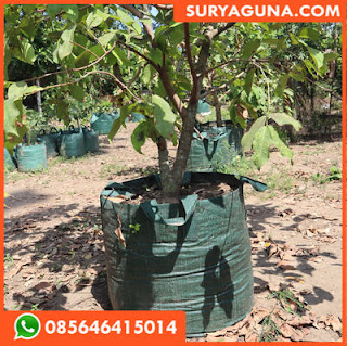 planter bag dari suryaguna 085646415014