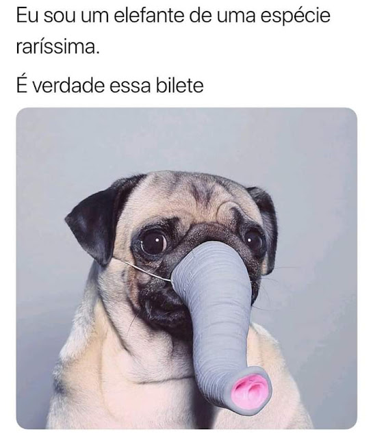 Memes engraçados