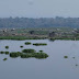 Air Waduk Cengklik Menyusut, Petani Karamba Resah