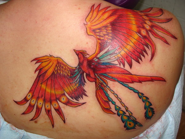 best phoenix tattoo this week pictures