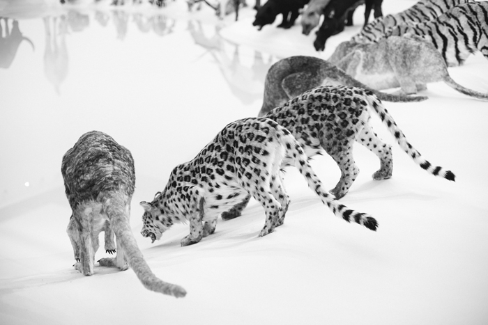 Cai Guo-Qiang Heritage