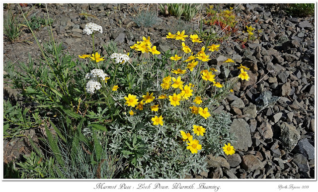 Marmot Pass: Look Down. Warmth. Beaming.