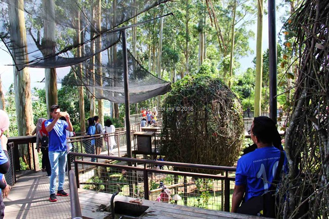 gambar cantik di dusun bambu bandung