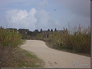 P1120210