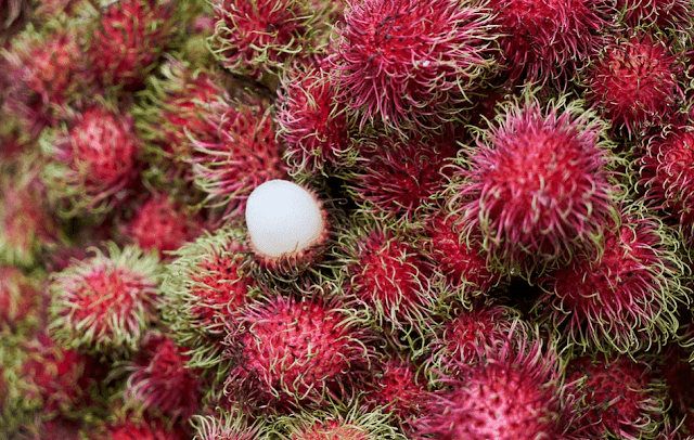 Manfaat Rambutan Untuk Kesehatan Tubuh